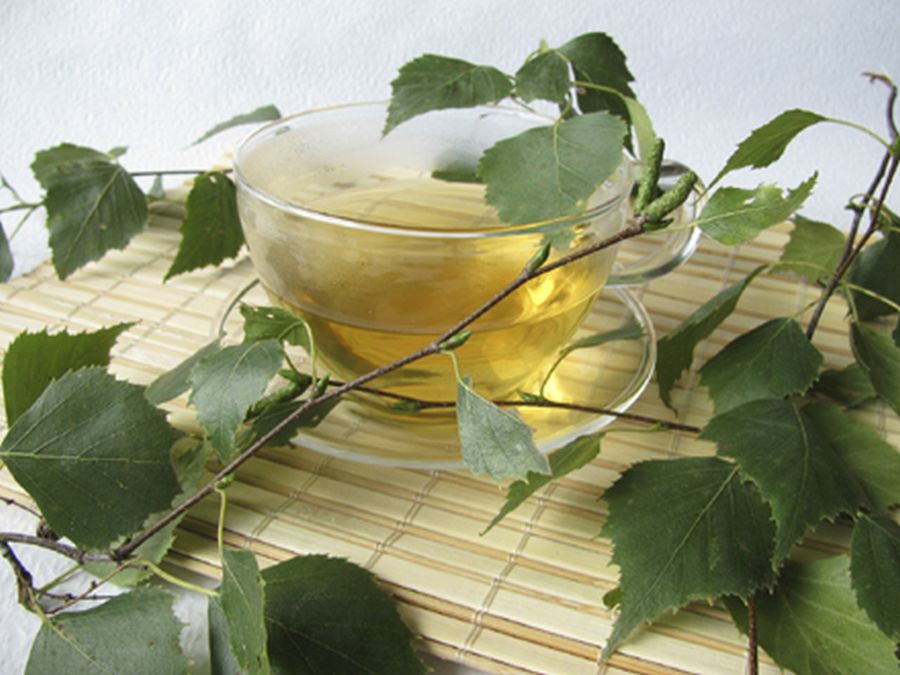 ceai din frunze de mesteacan pentru slabit