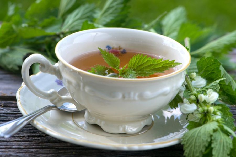 Ceaiul de urzica te ajuta sa slabesti daca il bei dimineata si seara