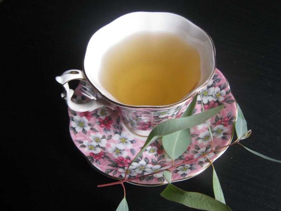 Ceai de eucalipt -