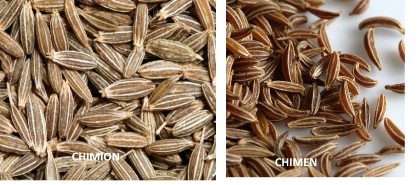 Chimen caraway vs chimion cumin -